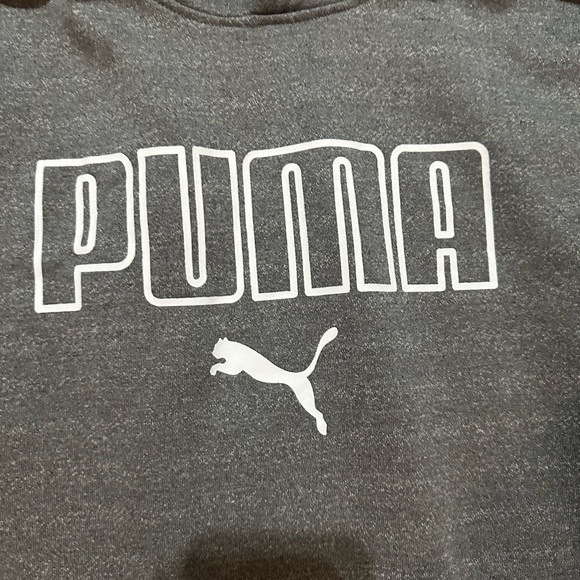 PUMA Kids Charcoal Hoodie - Picture 3 of 7